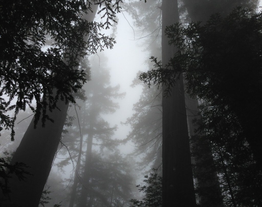 Quiet and mysterious