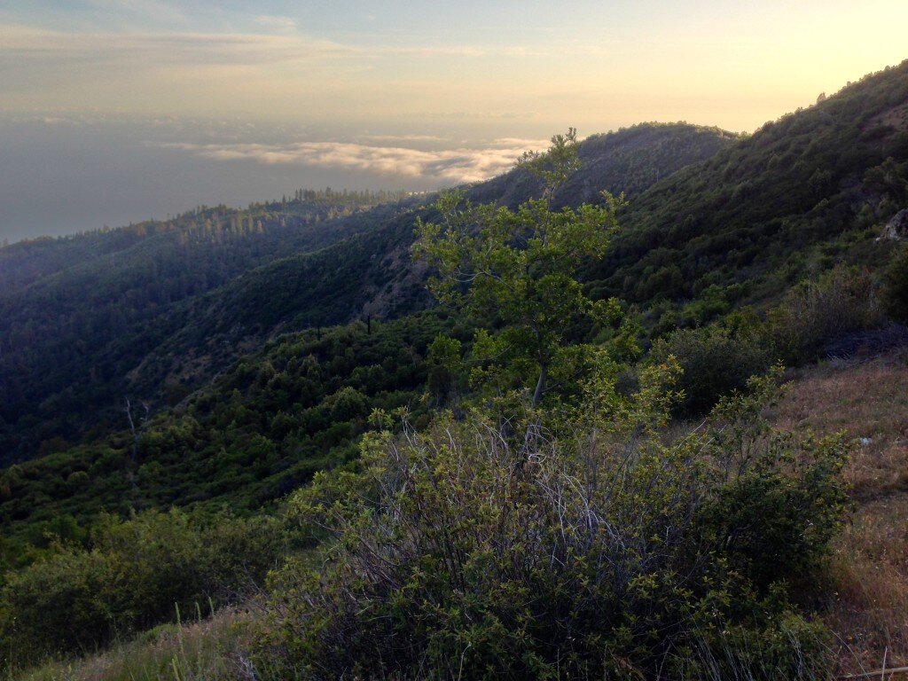 This is taken from the top of the trail that goes down to Ojito camp. The trail going to Ojito is VERY steep, but we saw a happy couple camped down there. One thing about that site is that you’ll probably get some privacy due to the steep access.