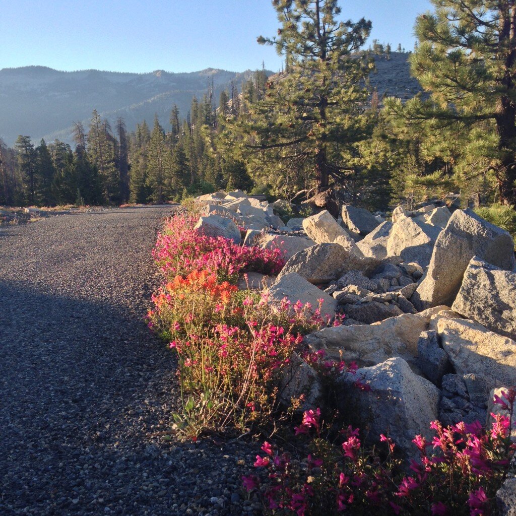 The road on the way to Courtright reservoir
