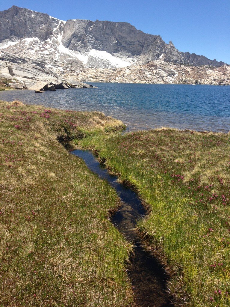 There are a lot of these clear rivulets in which you can usually see fish swimming quickly.