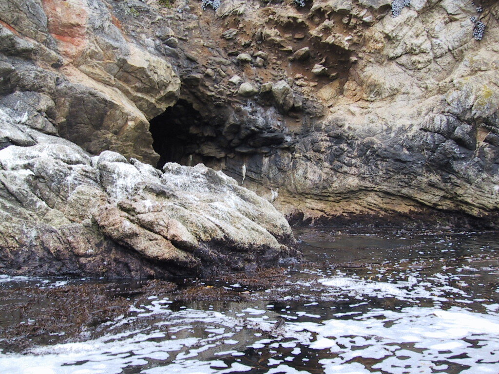 There are some small caves that you can explore while rounding Point Lobos.  Most are too small to enter with a boat.