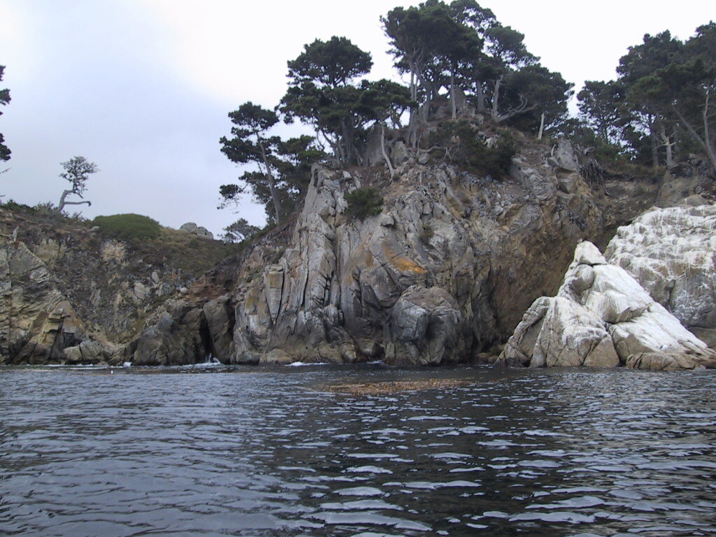 You will get a unique view of Point Lobos and the Monterey Cypress from the water.