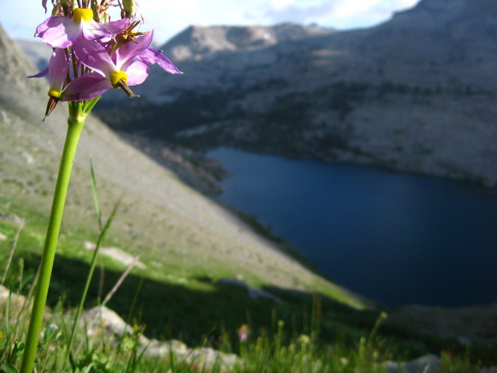 The views on the East slopes of lake 10,232 are great!