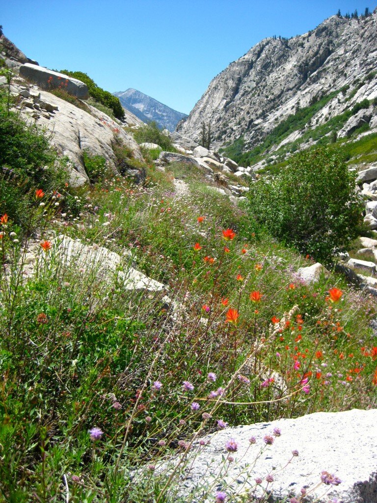 The trail is slightly overgrown in places - but that doesn't detract from your enjoyment!