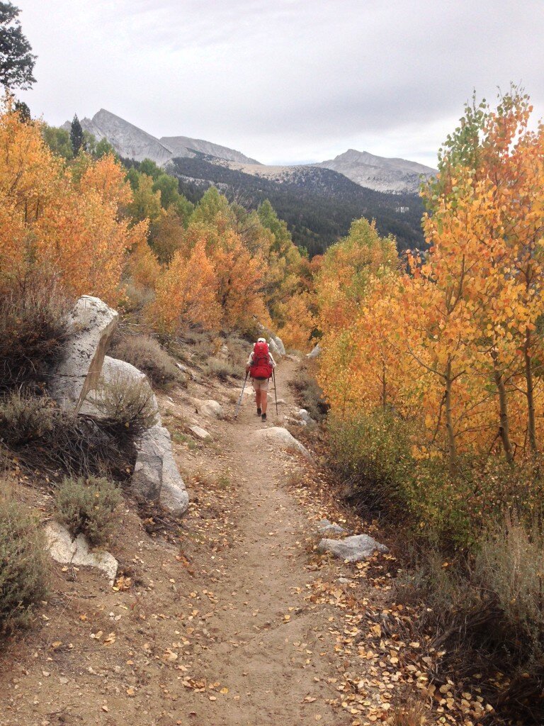 Janet enjoying the fall colors along the JMT