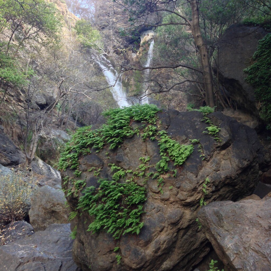 Lower Salmon Creek Falls (not the greatest angle, as it is obscured by a boulder!)