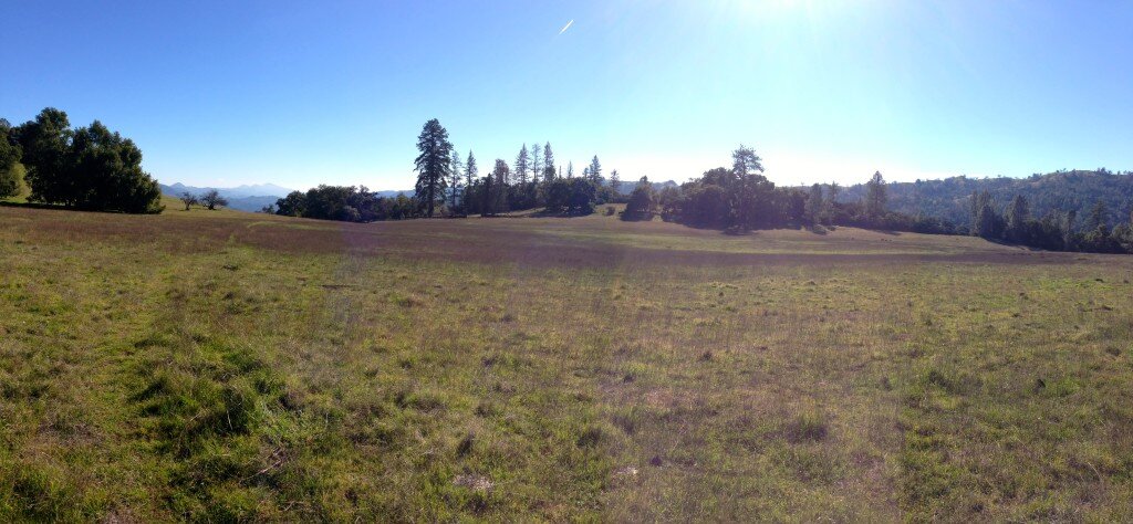 Along the Spruce Creek Trail, heading towards the San Carpoforo Trail