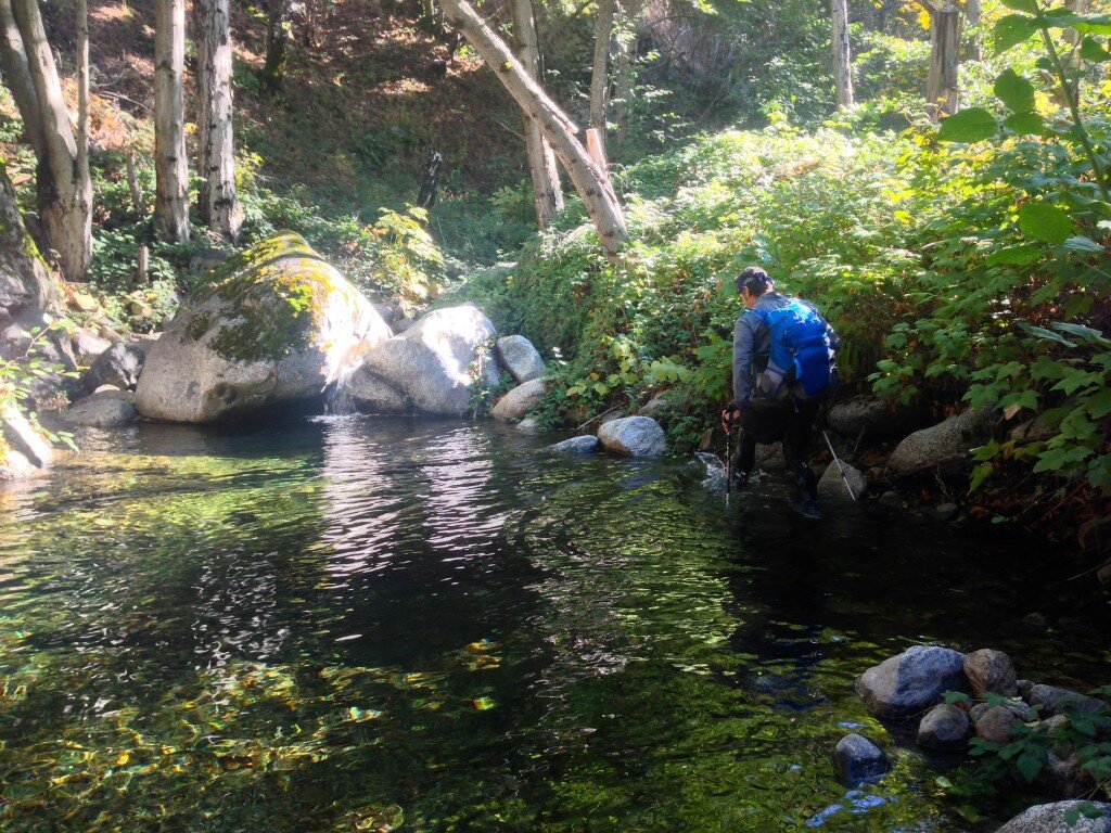 We were frequently greeted with deep and beautiful pools, even in wider areas of the canyon.