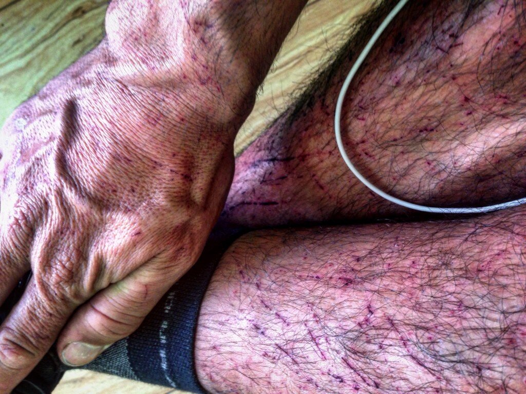 If I were to do anything differently, I'd have brought leather gloves, leg coverings of some sort, and Permethrin (found about 20 ticks on me while traveling from Round Rock Camp to Pine Valley Camp).