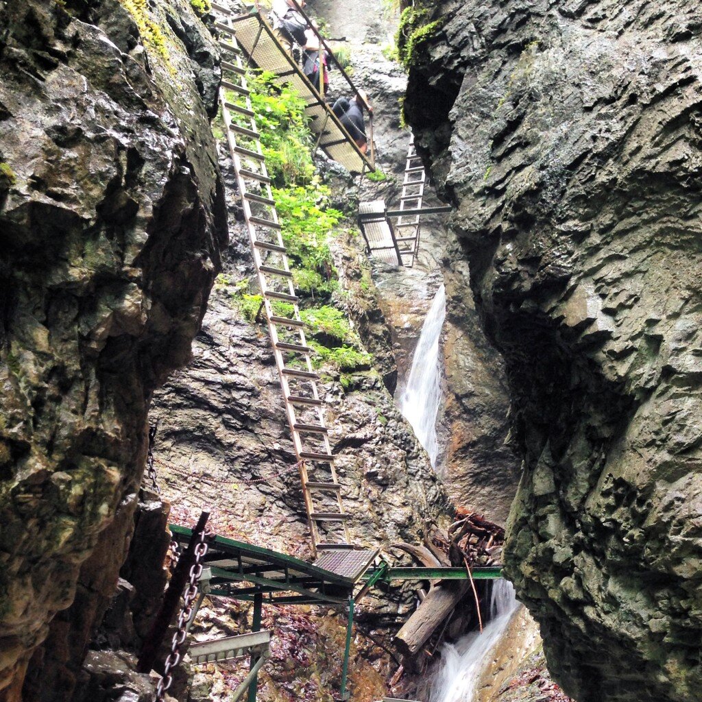 Tall Ladders at Suchabella