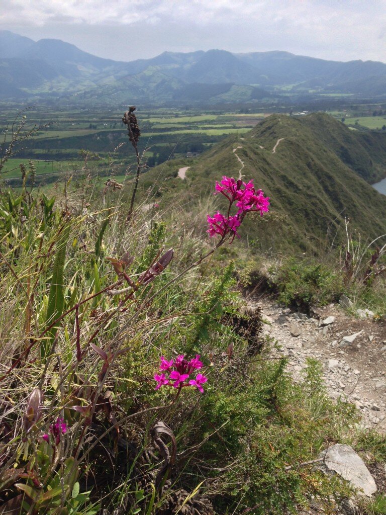 The rim of the Lago Cuicocha crater (you can see the trail in the distance).