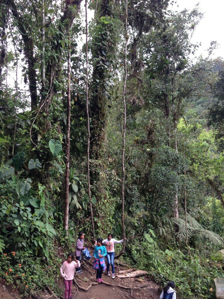 A cool rope swing that you will encounter if you follow our route into the cascades.