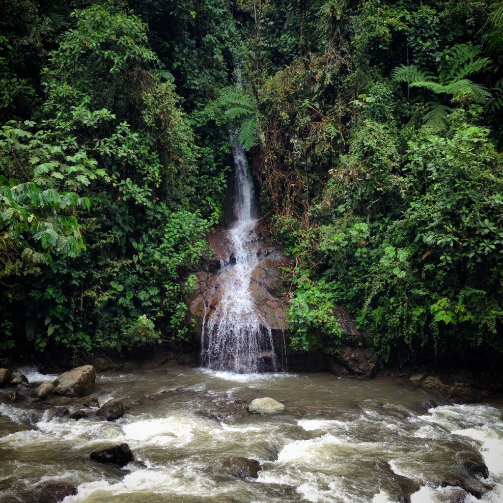 More waterfalls at Mindo.