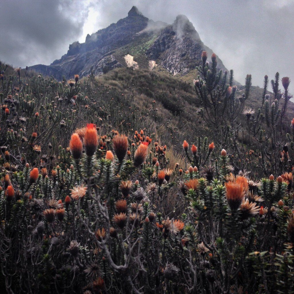 Ruku Pichincha, which I climbed.