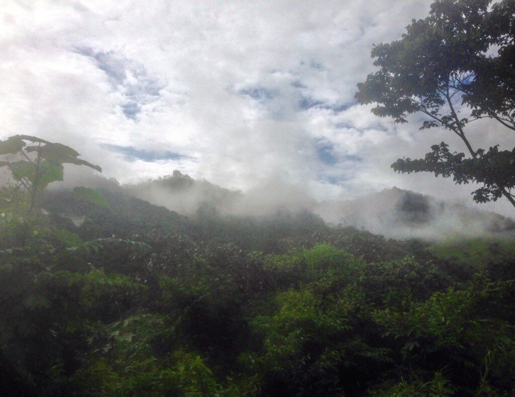 The scenery in Southern Ecuador.