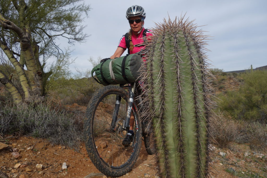 I feel that the best bike for the route is a 29er with tubeless tires.
