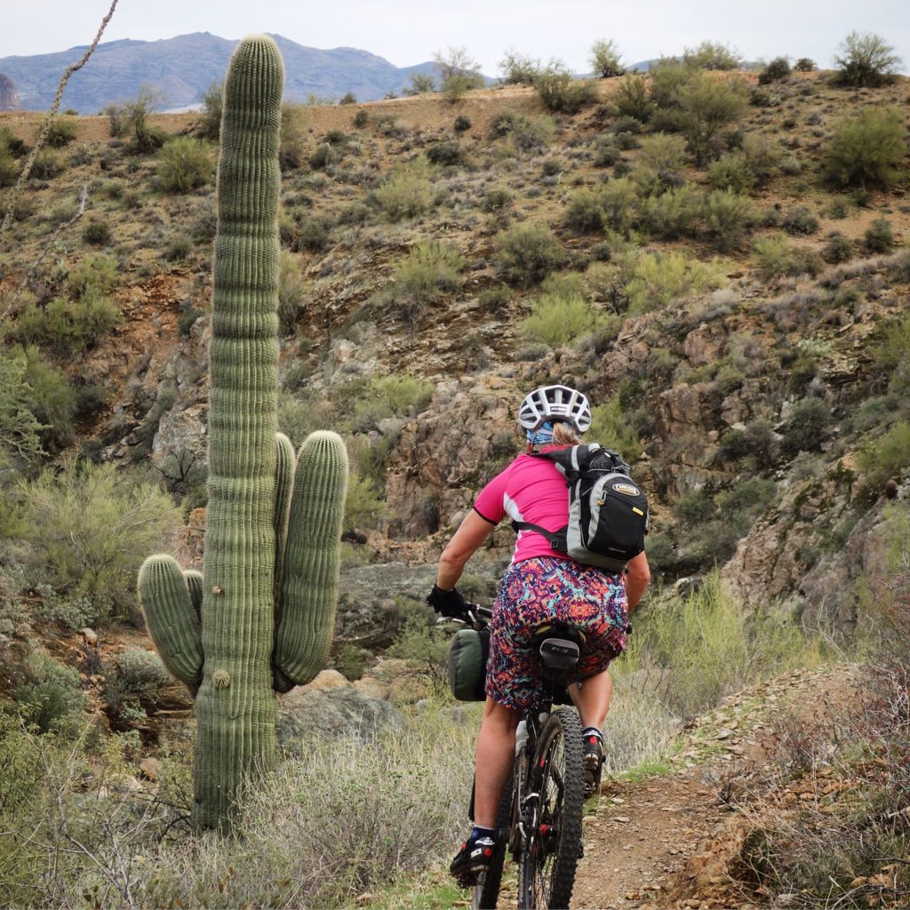Loving the Saguaros!