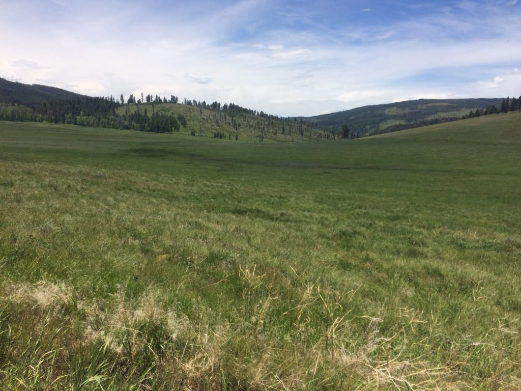 Scenery in the mountains above Helena.