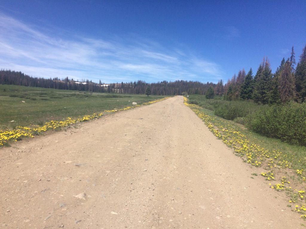 I loved the high elevation stretches of Colorado.