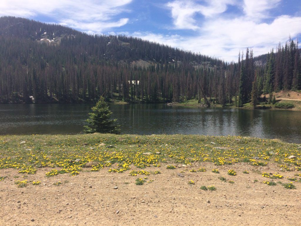 Another beautiful day in Southern Colorado