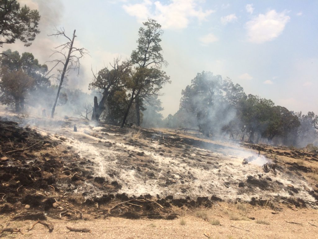 Riding past the fires that had engulfed New Mexico