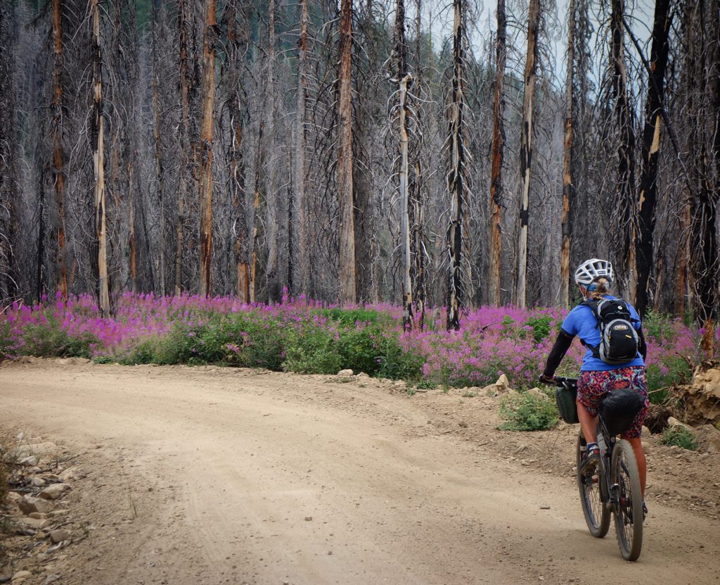 Dropping down Trinity Ridge Road.