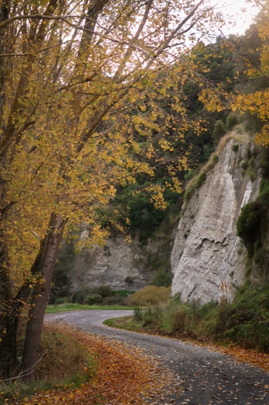 tour aotearoa map