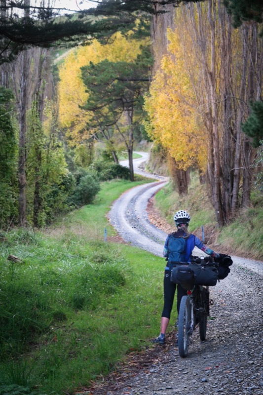 tour aotearoa map